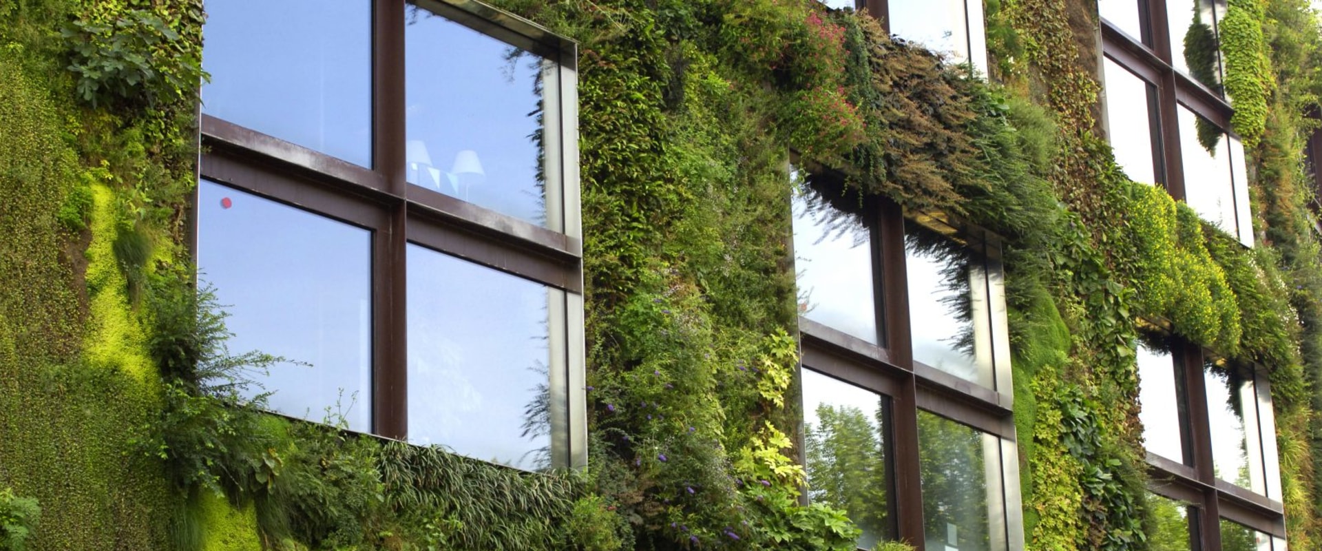 How to Save Money in the Long-Term with Green Construction and Roofing