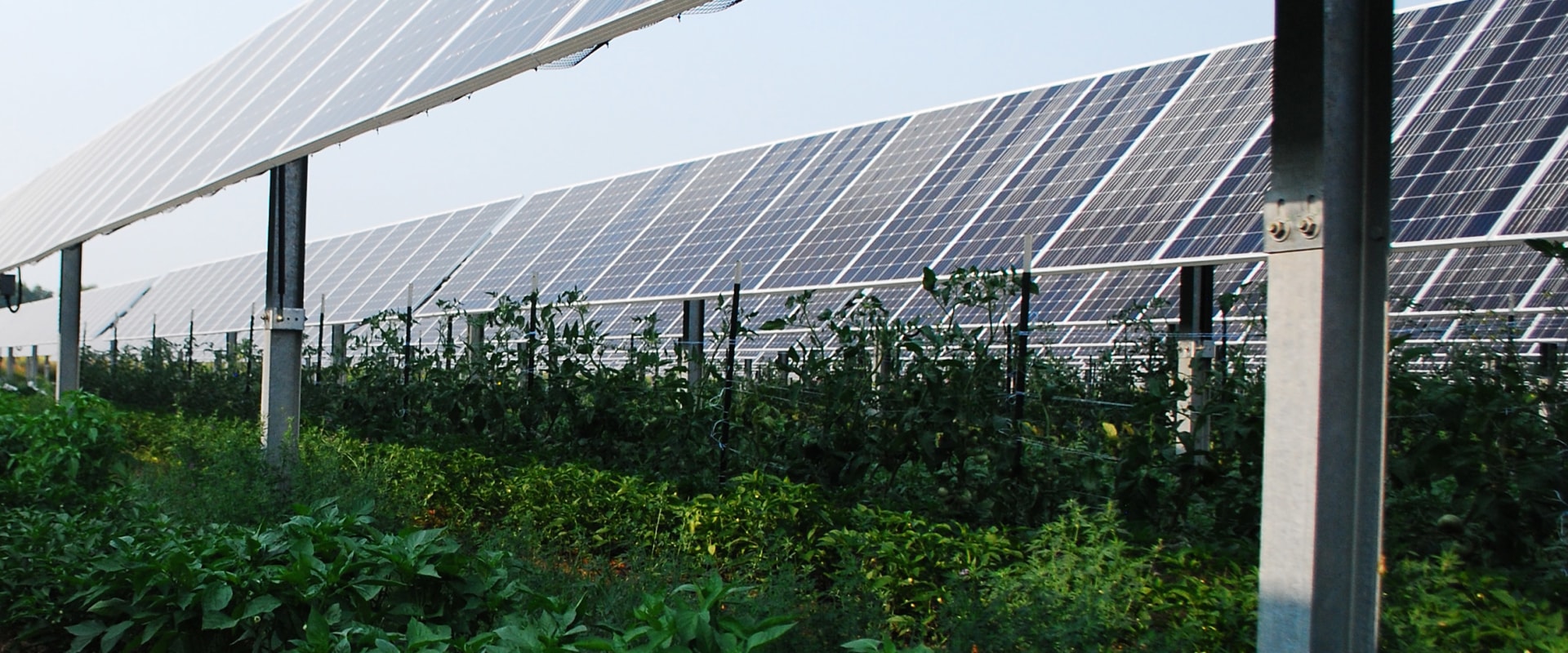 Transparent Solar Panels: An Eco-Friendly Solution for Green Construction