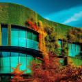 LEED Certification: How to Make Your Home or Building More Environmentally Friendly