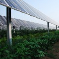 Transparent Solar Panels: An Eco-Friendly Solution for Green Construction