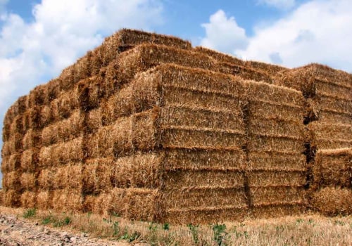 A Sustainable and Eco-Friendly Guide to Straw Bale Construction