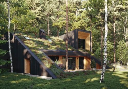 How to Create a Sustainable and Energy-Efficient Home with Living Roofs