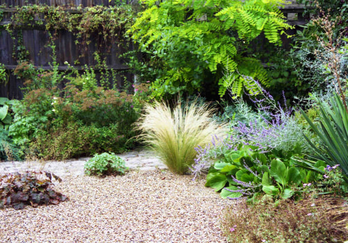 Creating a Drought-Resistant Landscape: Tips and Tricks for a Green Home Design